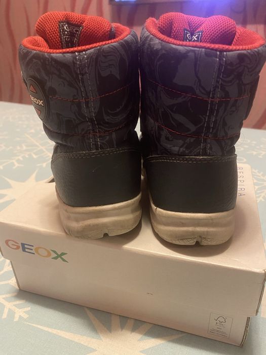 Зимние сапоги на мальчика Geox