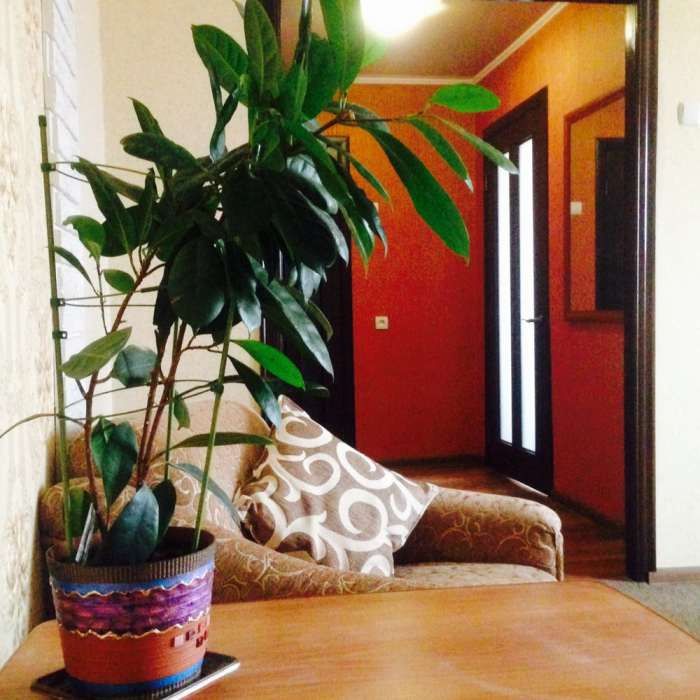 Вечерний бульвар, Рядом Восточный , Артем , Тысячка, фоззи