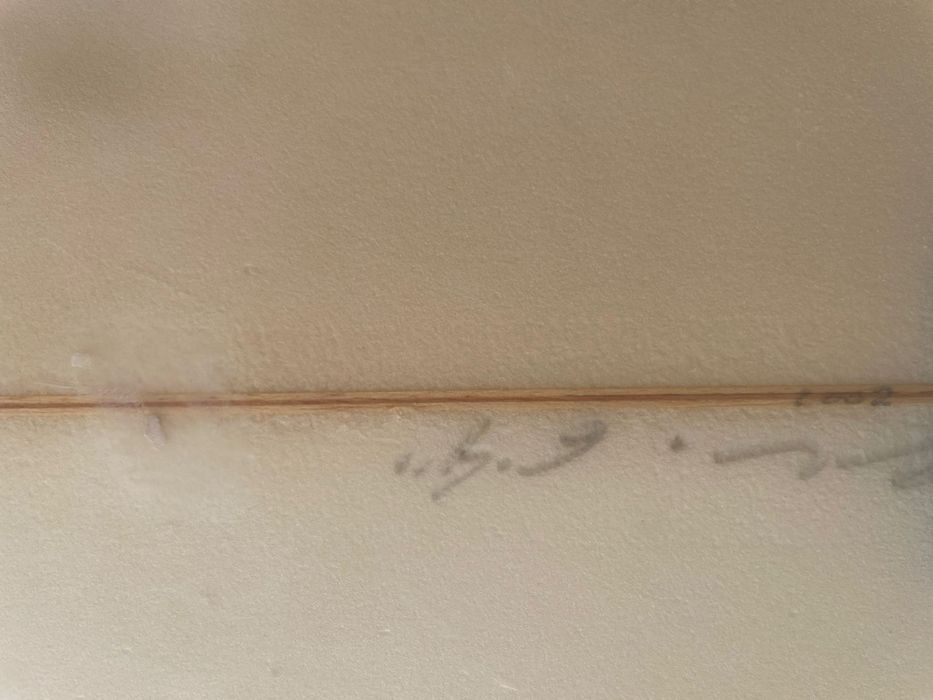 6`4 Pigmeu Surfboard