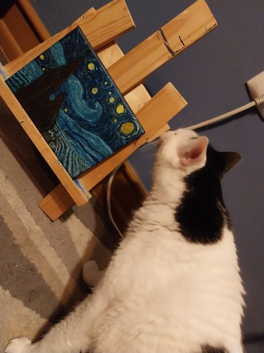 A minha noite estrelada