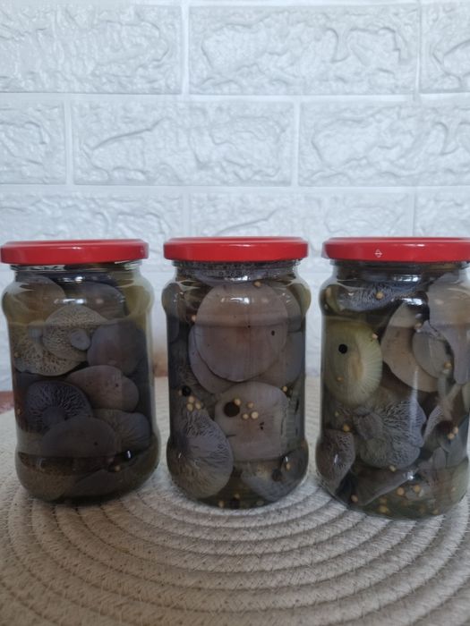 Grzyby suszone I marynowane w zalewie