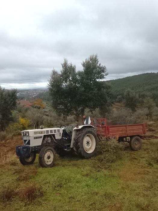 Serviços agroflorestais