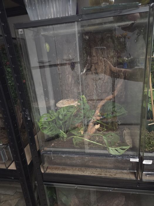 Terrarium 2 sztuki