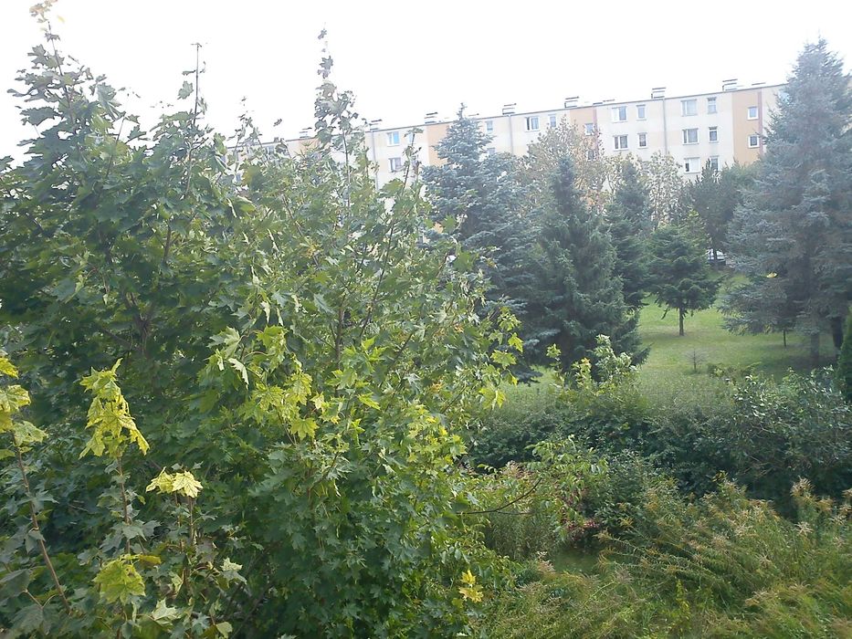 Zdjęcie 4