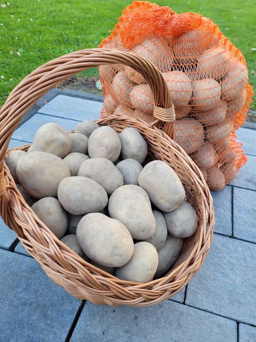 Ziemniaki Excellency