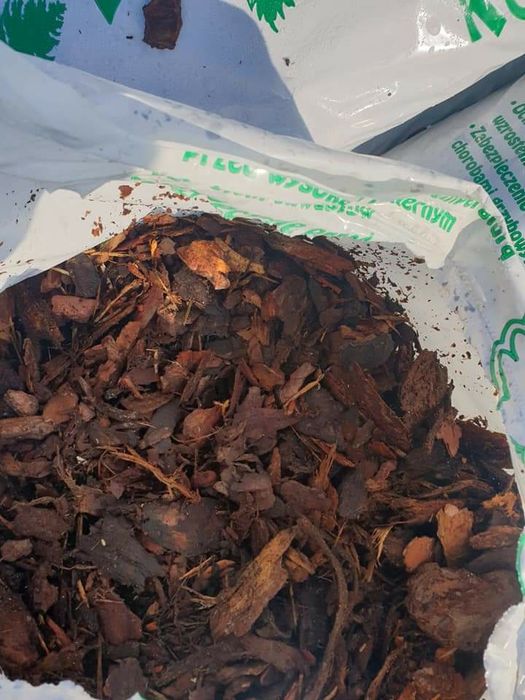 Kora mielona sosnowa wysoka jakość dostawa gratis od 30 szt