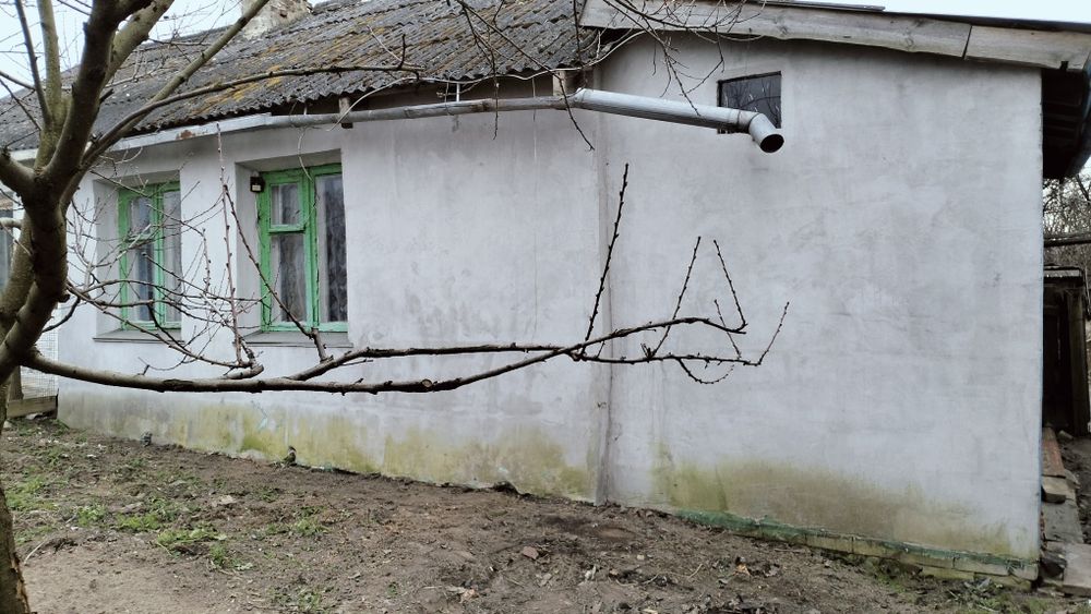 Продам 1/2 будинку с Савин (60 км від Києва)