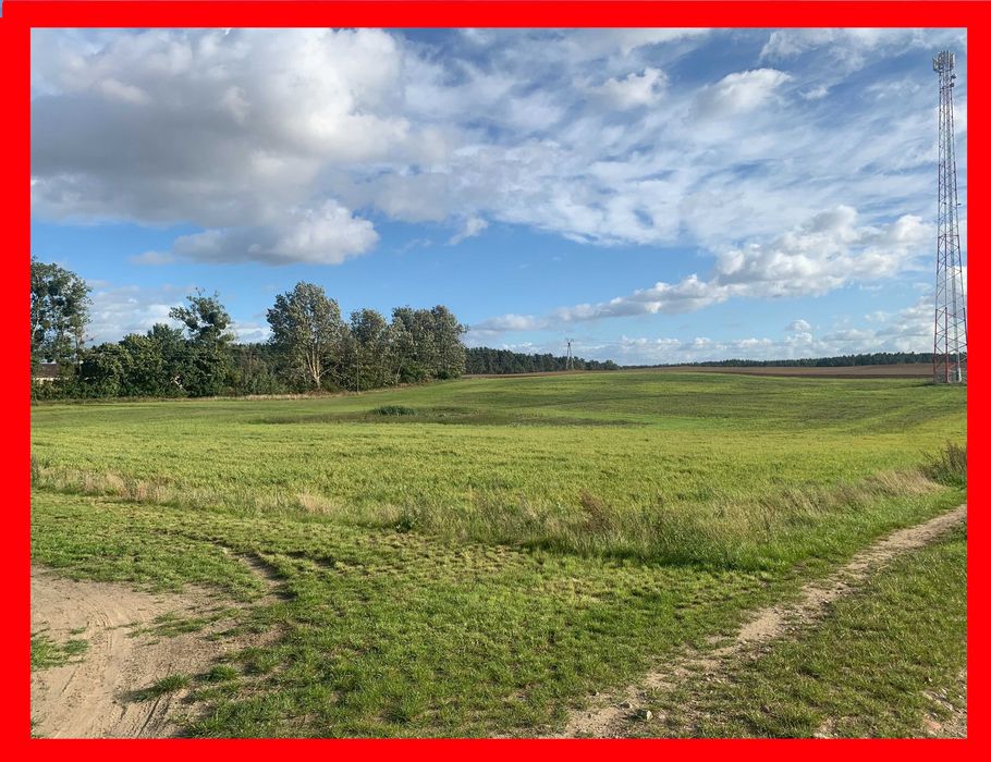 Działka 1677 m² pod dom w Turzu | WZ | Spokojna okolica blisko Tczewa