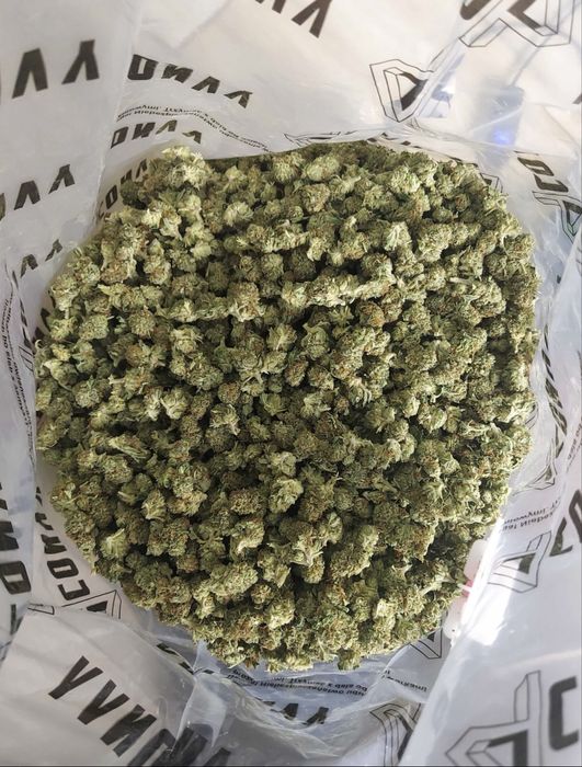 Biomasa CBD Amnesia Special GH susz 1 kg