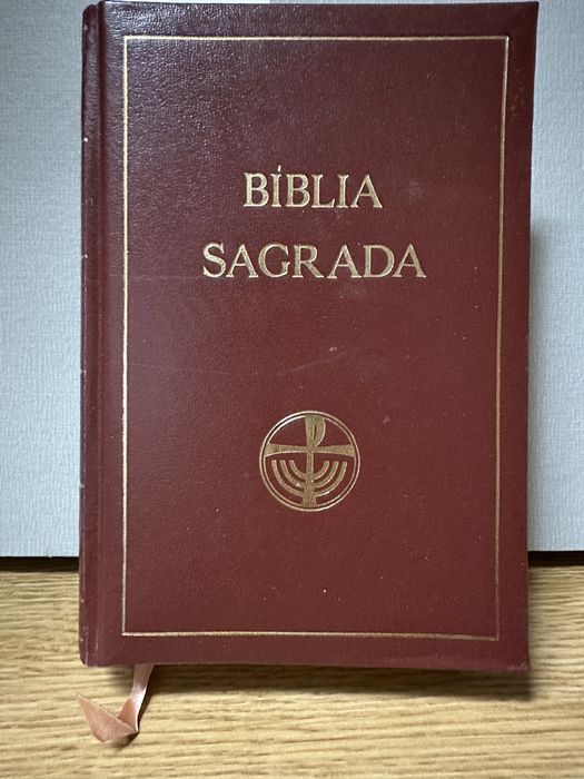 2 Bíblias Sagradas NOVAS