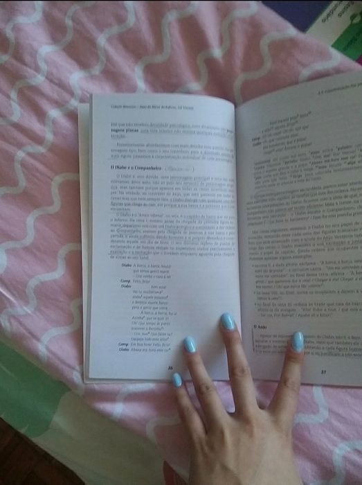 Livro resumos- auto da barca do inferno 9°