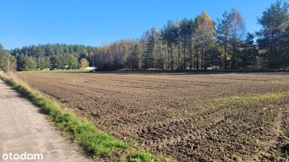 112zł/m2! Okazja! Działka w Donimierzu k. Szemuda
