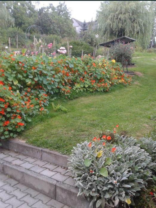 Noclegi, Pokoje na wynajem, Noclegi Raba Wyżna wolne pokoje