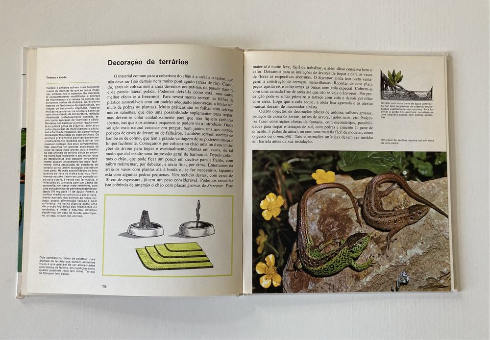 Livro Animais em Casa - Verbo Juvenil (Vintage)