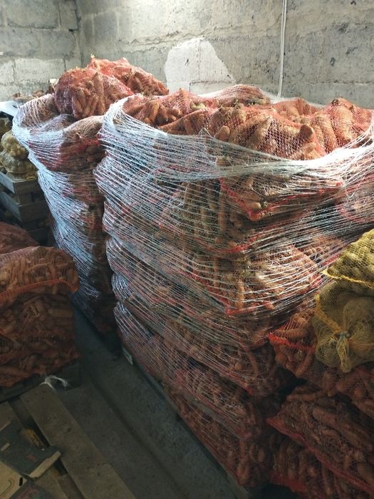 Sprzedam ziemniaki jadalne / paszowe / sadzeniaki