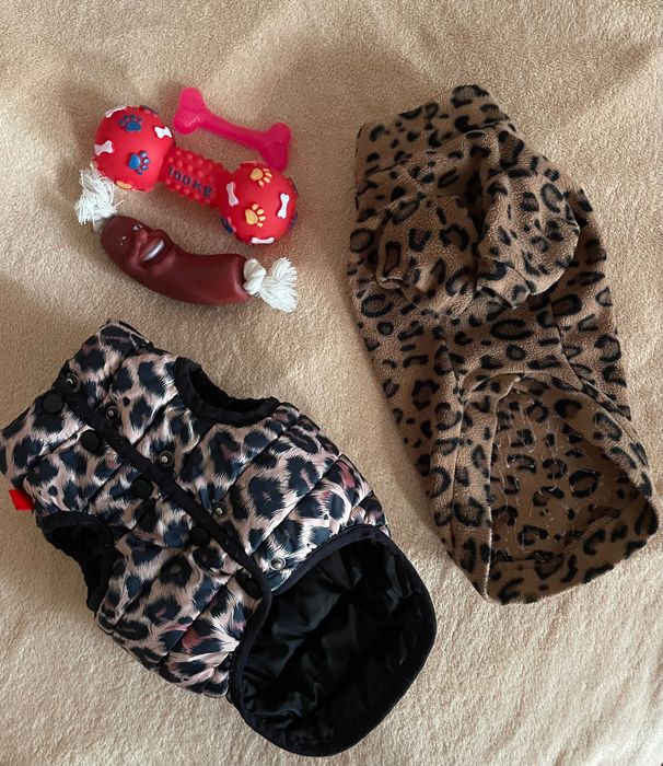 Набір (одяг та іграшки ) для собачки міні породи (чіхуа, тойчик )