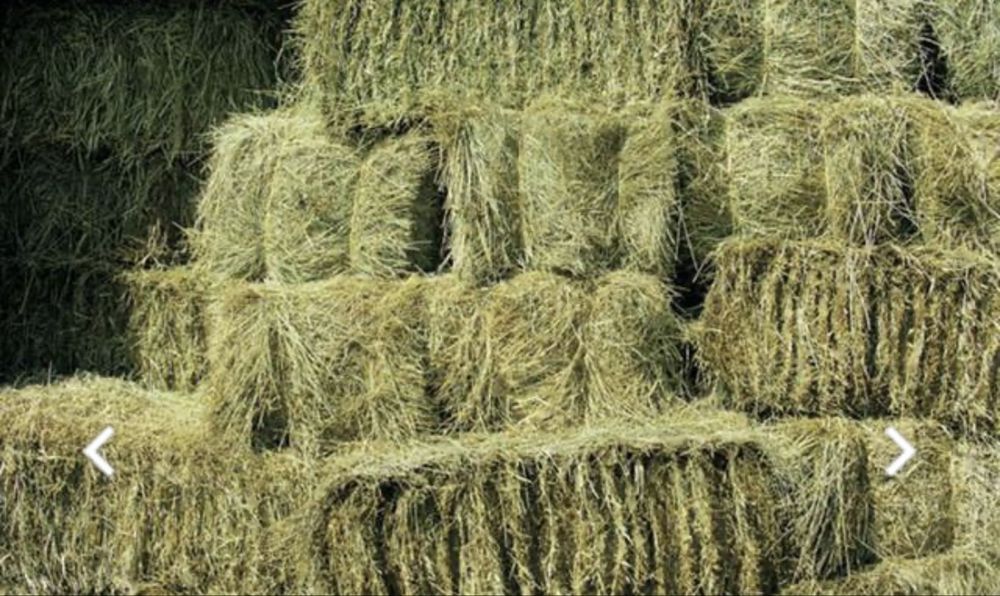 Продам сіно в тюках