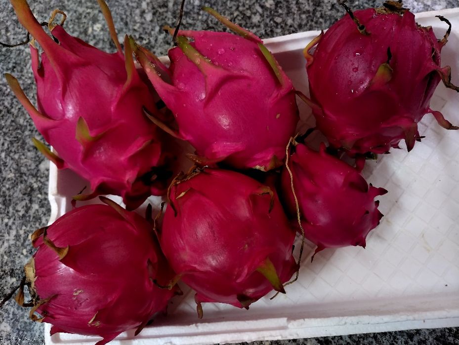 Vende se pitaya nacional