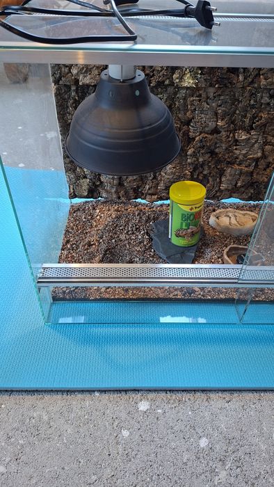 Terrarium dla żółwia