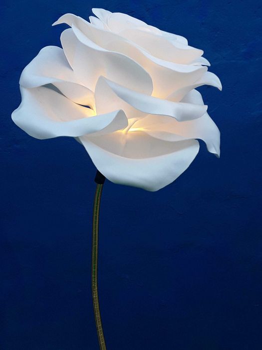 Rosa Branca com Luz – Arte, Emoção e Bem-Estar em Grande Escala