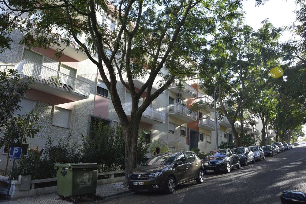 Quarto individual para estudante, perto do Politécnico e do ISLA.