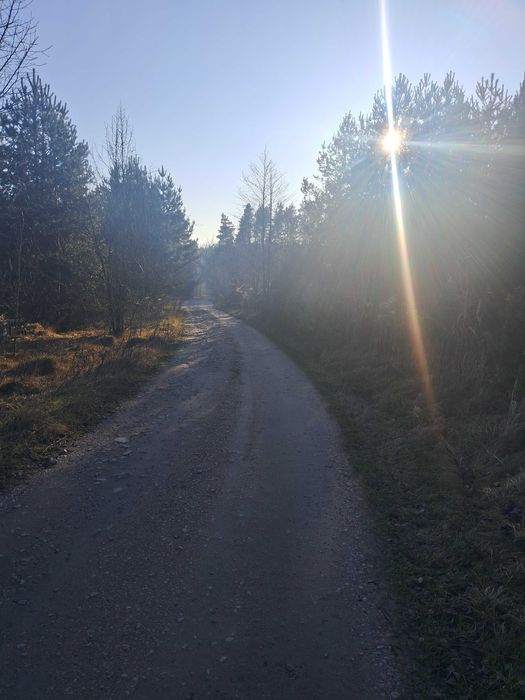 Земельна ділянка 17.5 соток під будівництво,с.Дениші