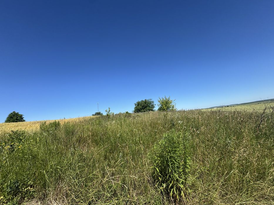 Земельна ділянка 15 сотих в Чистилові