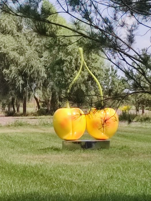 Продам участок 8сот. под застрой со светом с.Богдановка Броварск.район