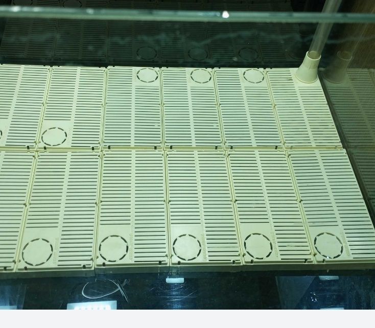 Аквариумное оборудование .