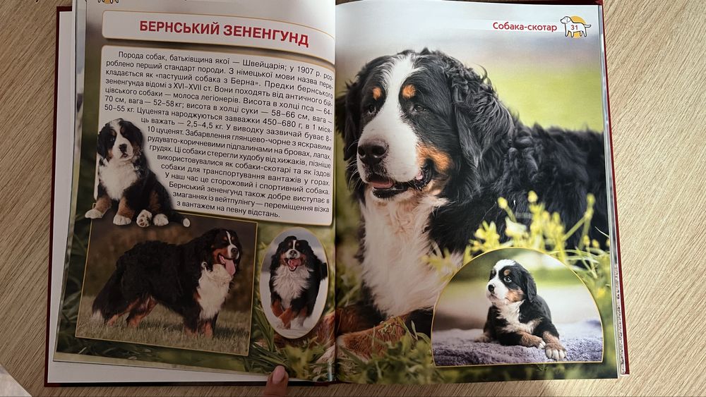 Енциклопедія собаки