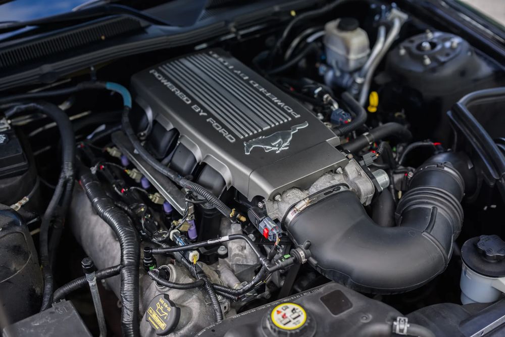 business-site-gallery-photo