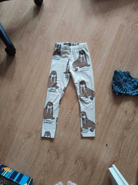 Legginsy 116 Zara morsy