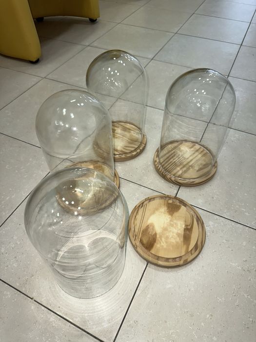 Campânulas de vidro transparente