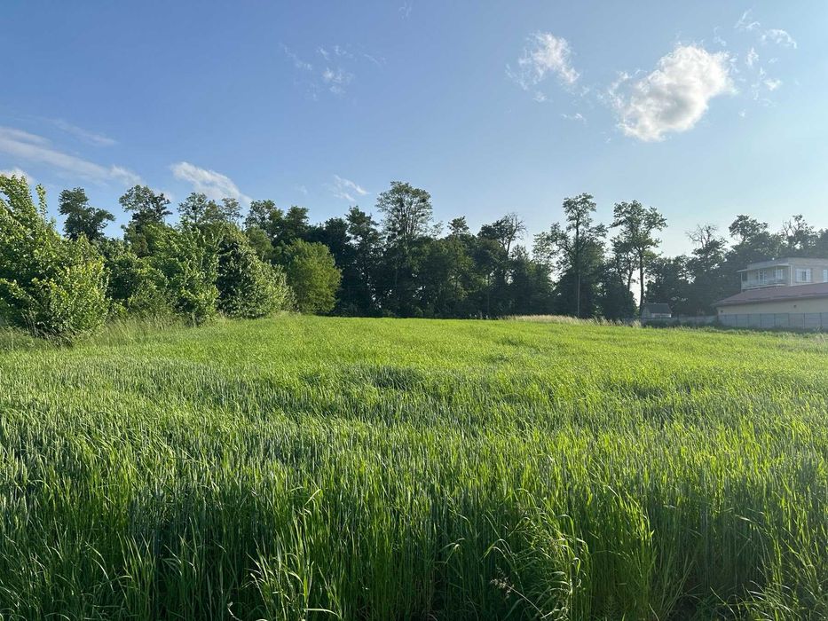 (5) Продам земельну ділянку в Лукашівці 4422