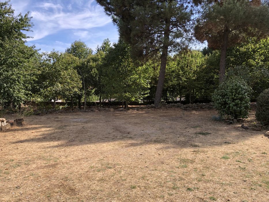 Herdade de 4000m2 perto da Guarda