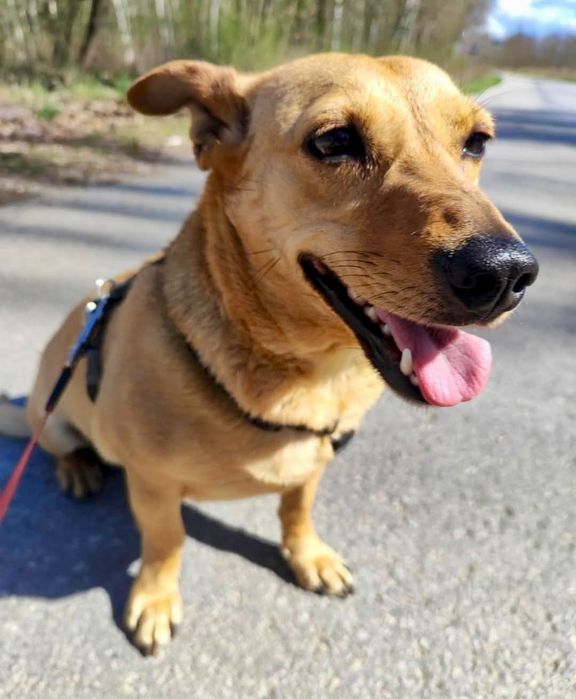 Nadusia prosi o szansę ...