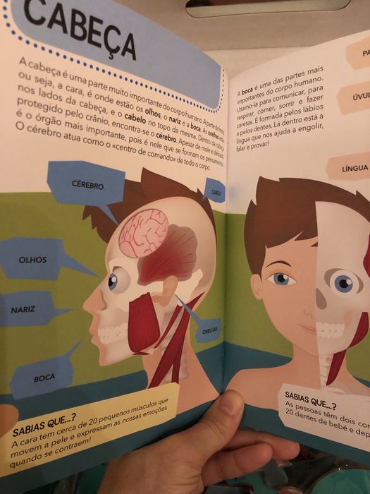 Puzzle corpo humano 210 pecas edicare