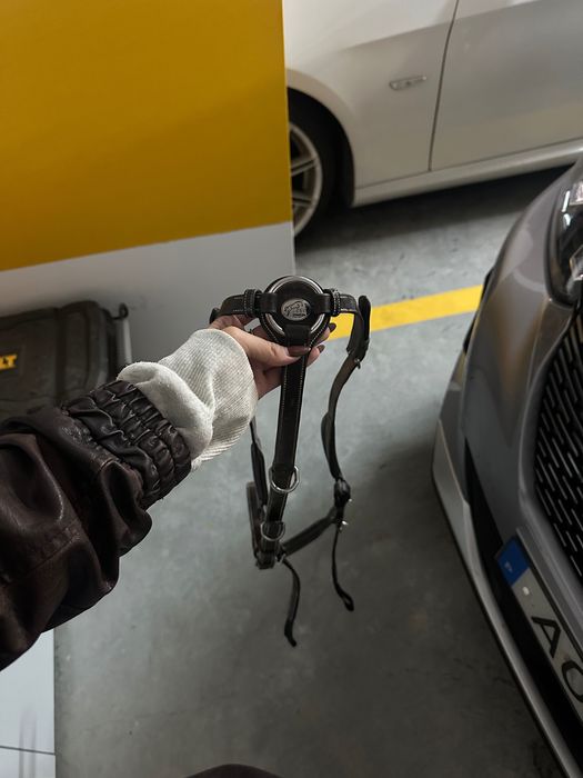 Peitoral jump’in wednesday