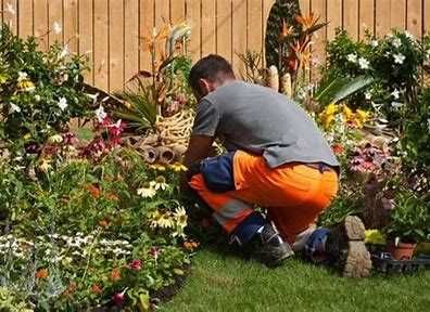Jardins Verticais Personalizados para Pequenos Espaços Residenciais