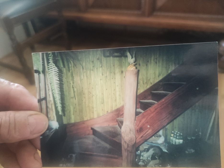 Sprzedam Schody samonośne prawoskrętne  jesionowe grube 4cm