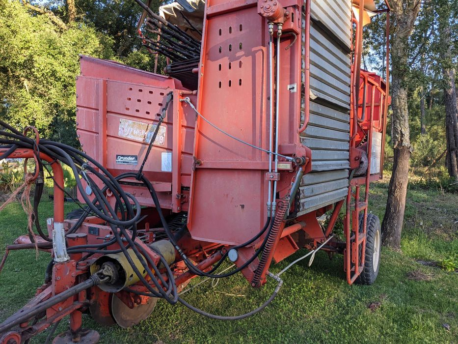 Grimme LK650 Máquina arrancadora de Batatas