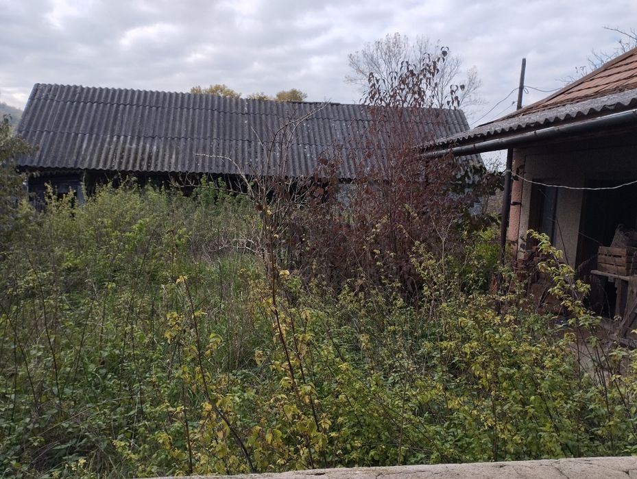 Цена снижена!Продам дом Закарпатя Берегово(Запсонь)