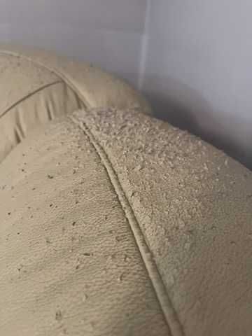 kanapa skórzana i fotel