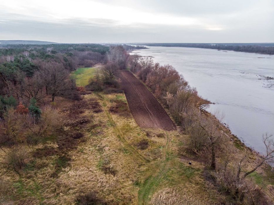 Działka Łęg Witoszyn linia brzegowa Wisły 200m