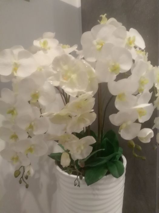 Orchidea sztuczna