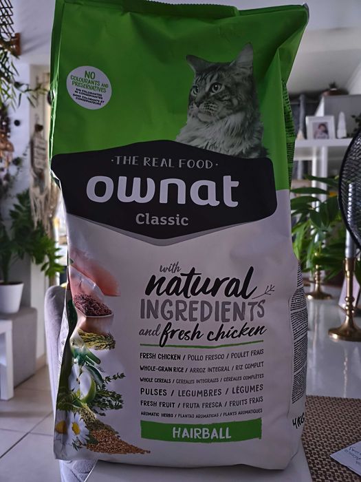 Ração para gatos
