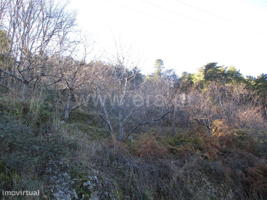 Quintinha / Fundão, Alcongosta