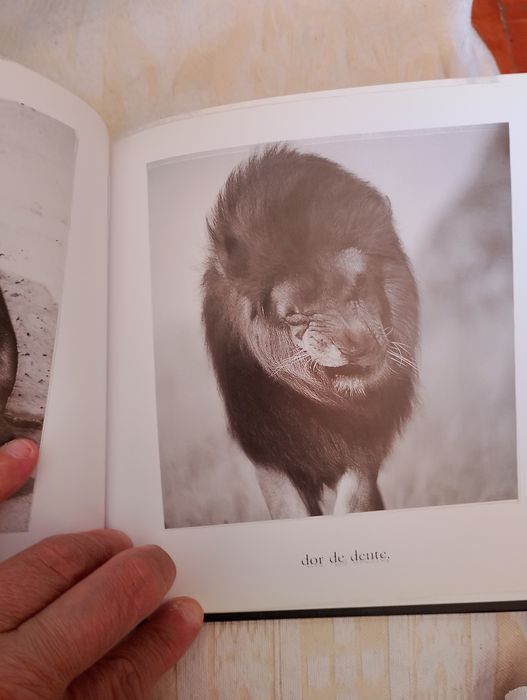 Livro. Ilustrado. Motivacional