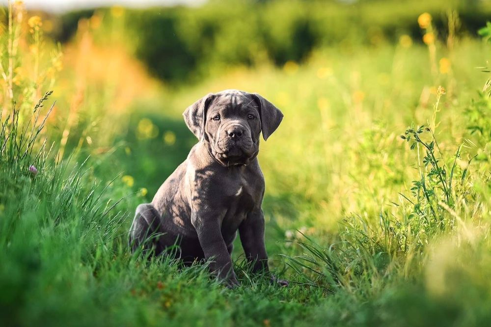 Супер ТОПОВА дівчинка