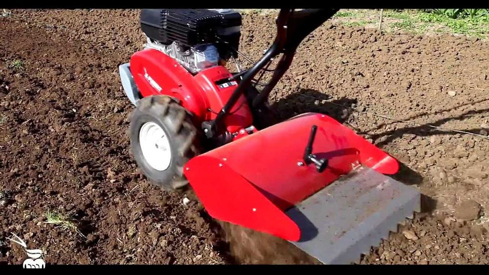 Wynajem glebogryzarka z napędem Honda, glebogryzarka separacyjna